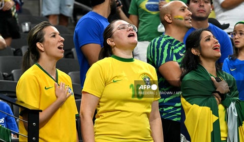 Hinchas Brasil