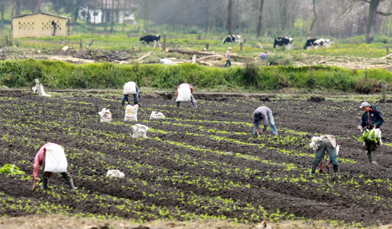 Agricultores en Colombia