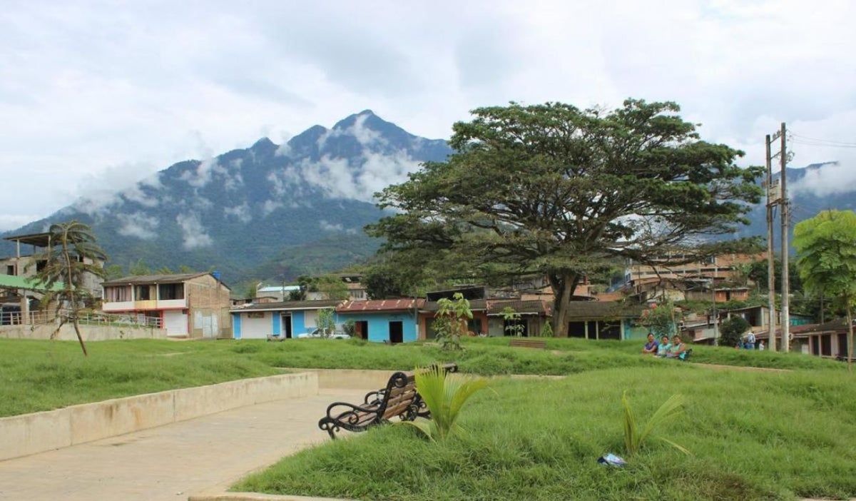 Argelia, Cauca