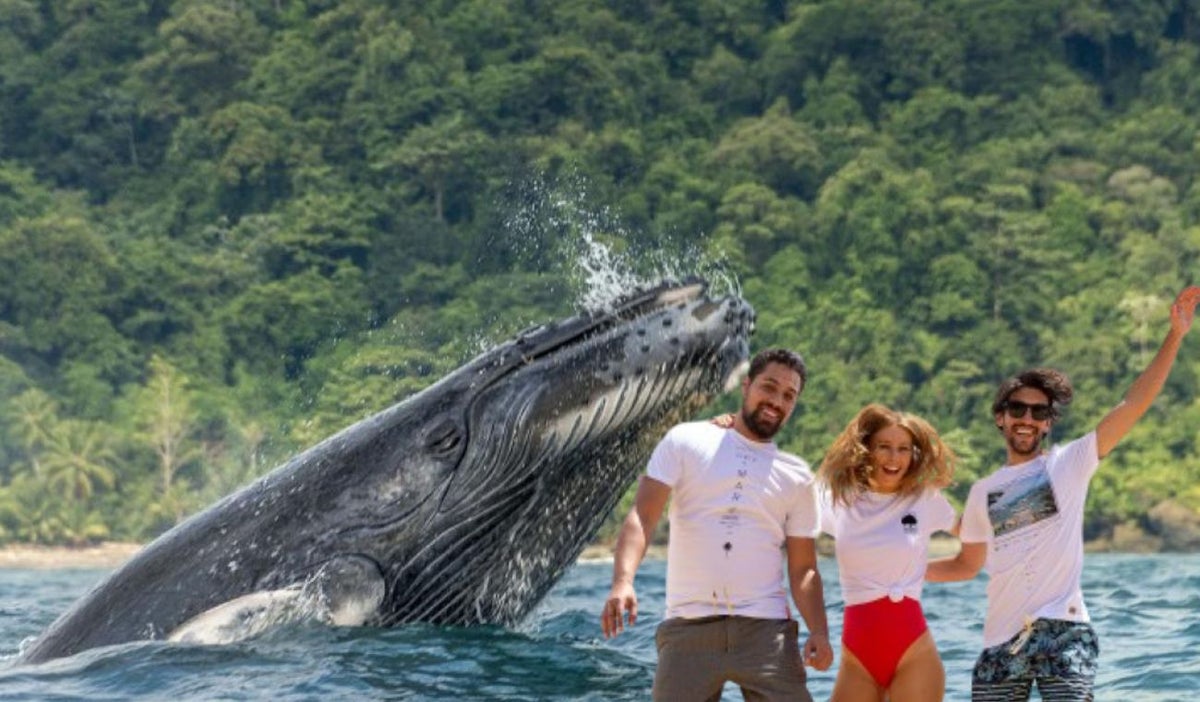 Avistamiento de ballenas y tres personas saltando