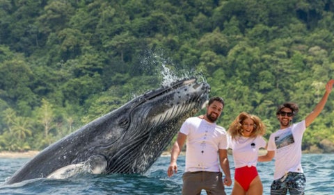 Avistamiento de ballenas y tres personas saltando