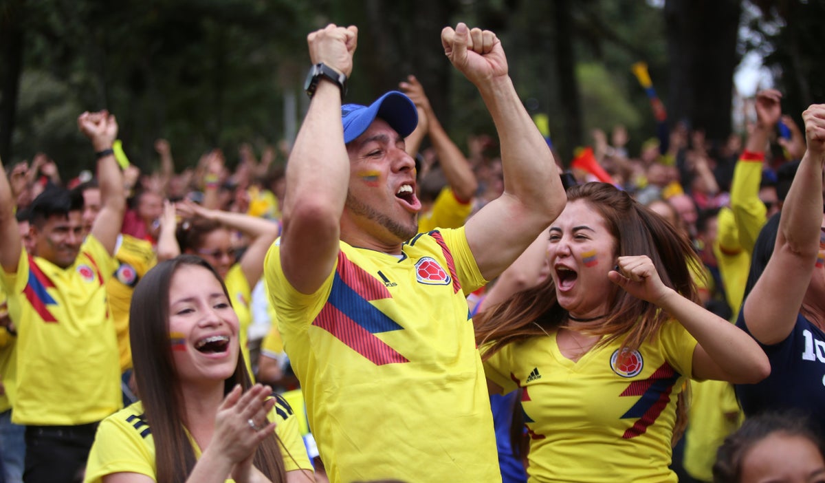 Hinchas apoyando a la Selección Colombia
