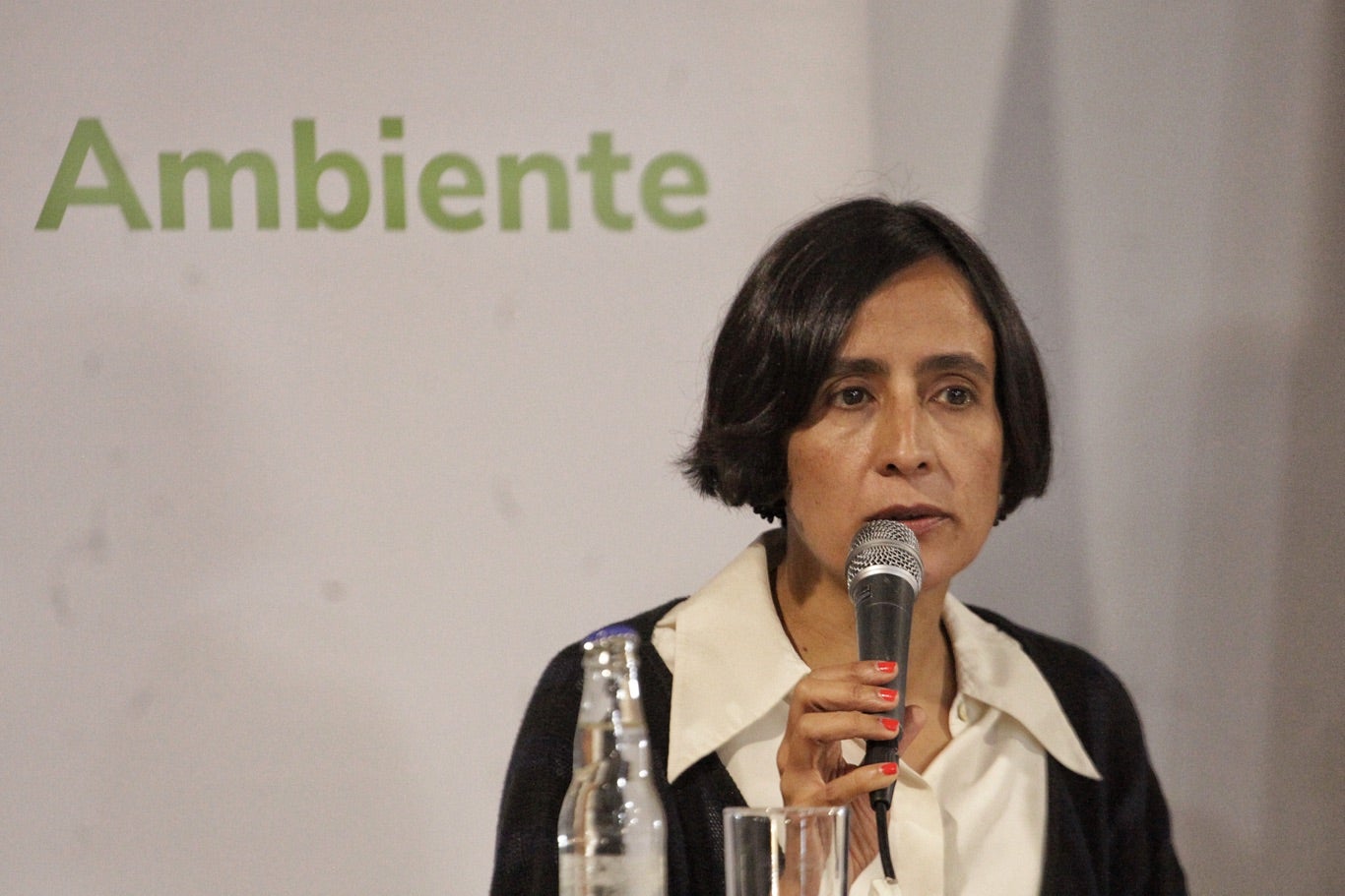 Susana Muhamad, Ministra de ambiente