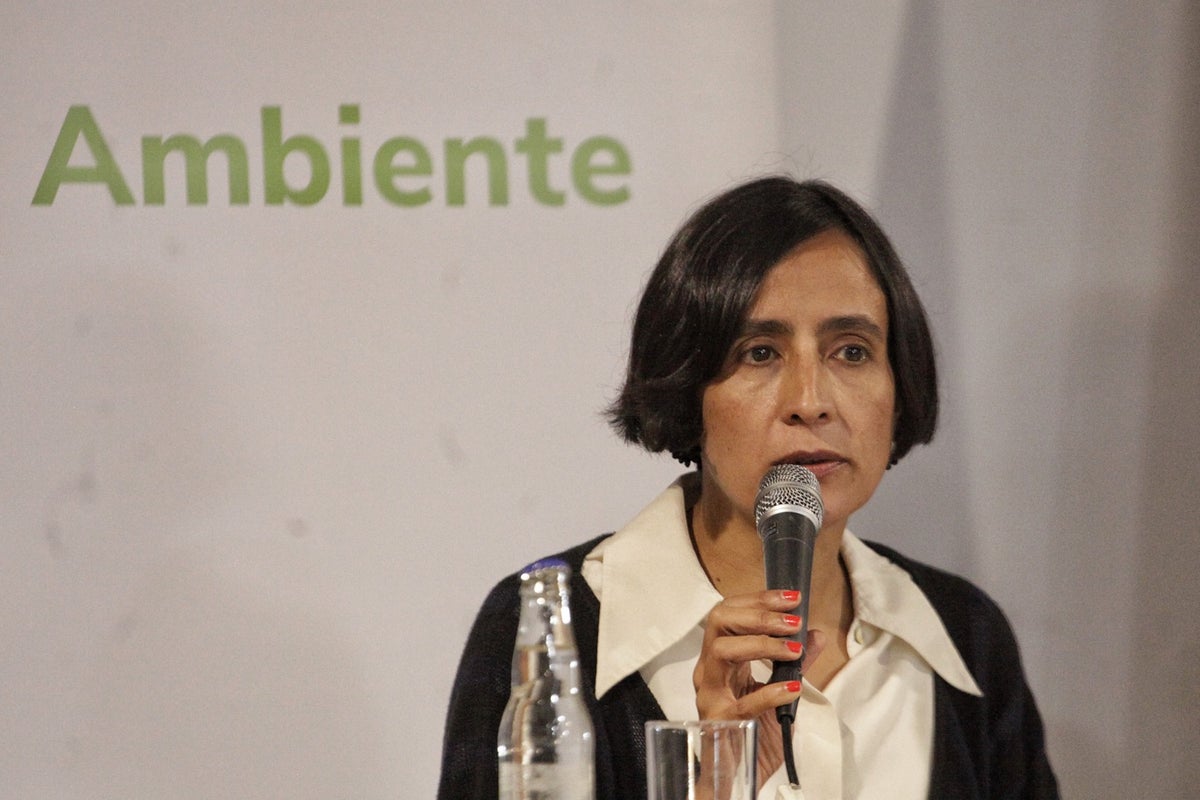 Susana Muhamad, Ministra de ambiente