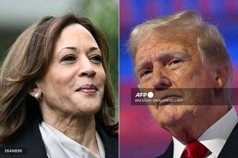 Kamala Harris: lo que dicen las encuestas