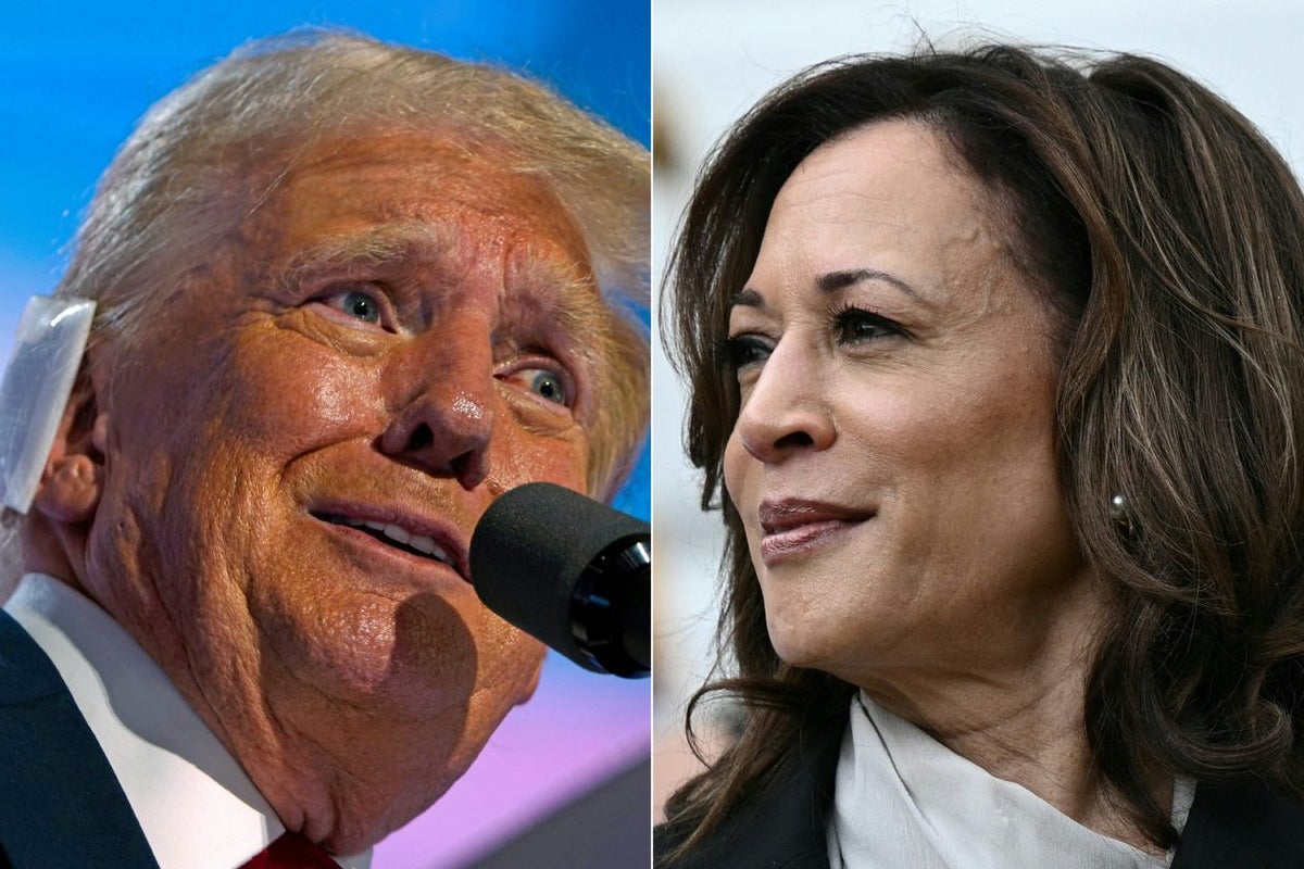 Kamala Harris recauda 47 millones de dólares en 7 horas tras ser apoyada por Joe Biden como sucesora. Donaciones récord para la campaña presidencial demócrata.
