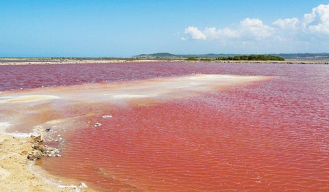 Mar rosado Colombia