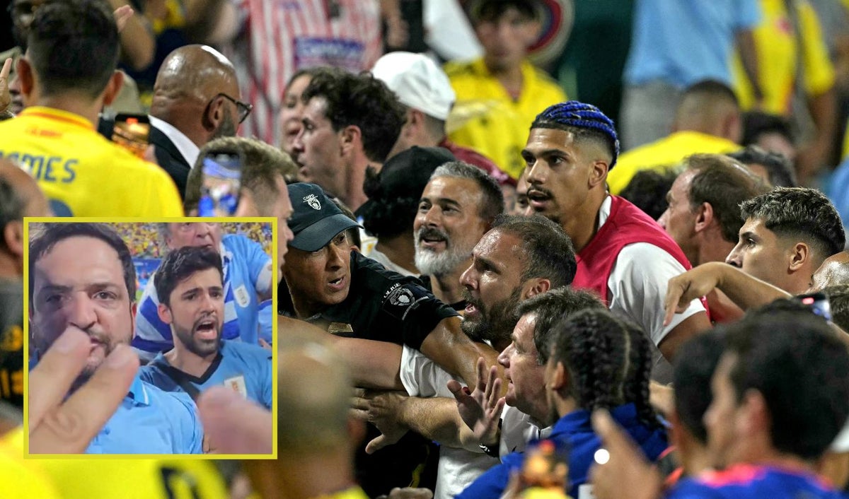 hinchas colombianos peleando con futbolistas uruguayos