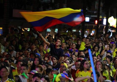 Hinchas Selección Colombia Copa América