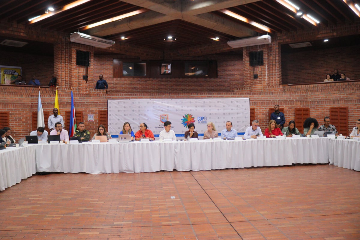 En Cali se han realizado múltiples reuniones para preparar el evento.