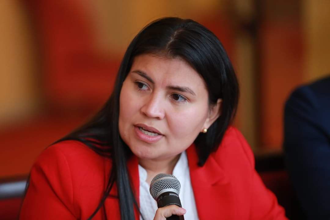 Karen Manrique, representante a la Cámara.
