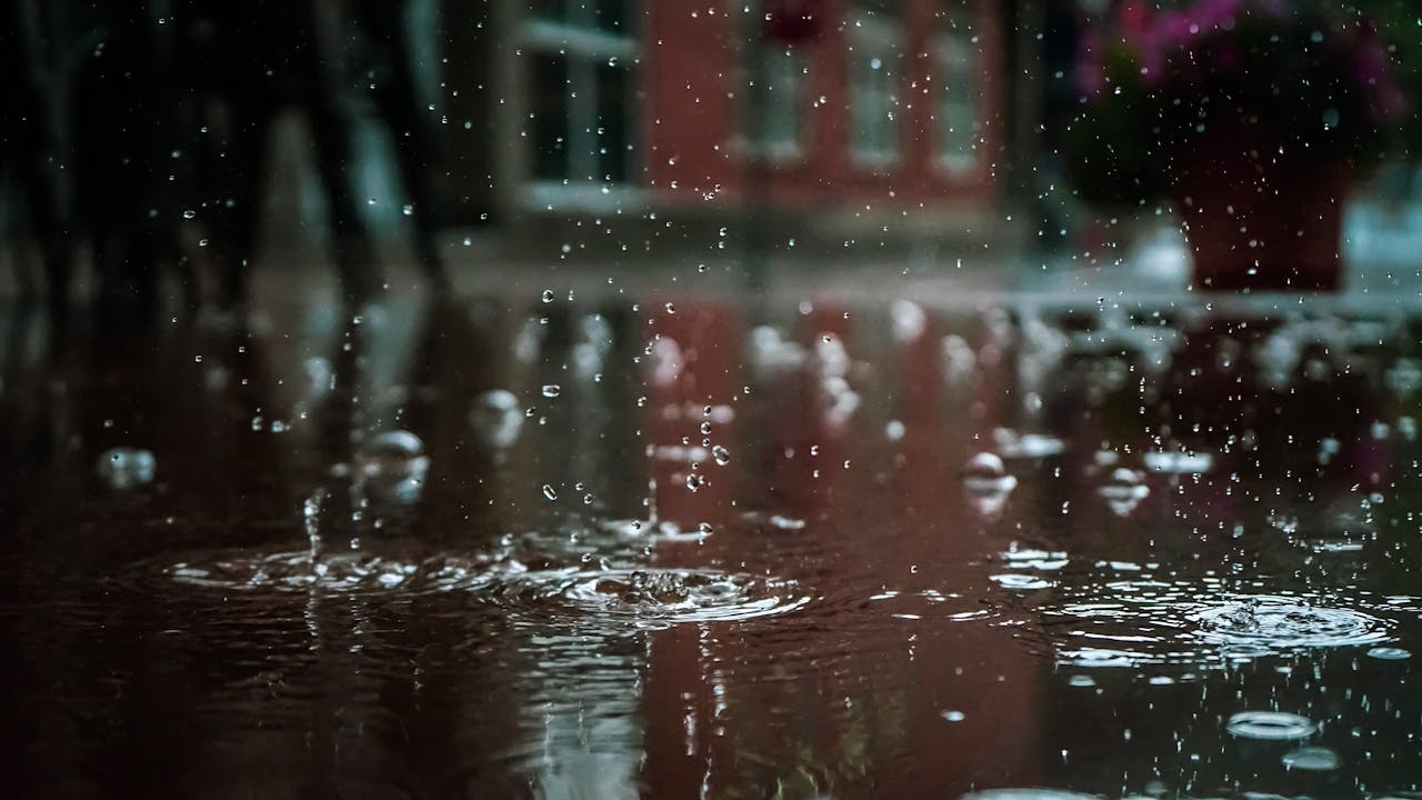 Condiciones climáticas variables en Miami para el sábado 3 de agosto de 2024: cielos nublados, lluvias y tormentas eléctricas. Prepárate para un día cambiante y manténgase informado