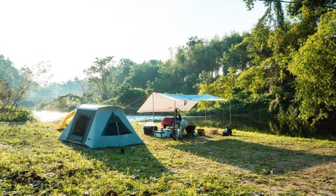 Acampar