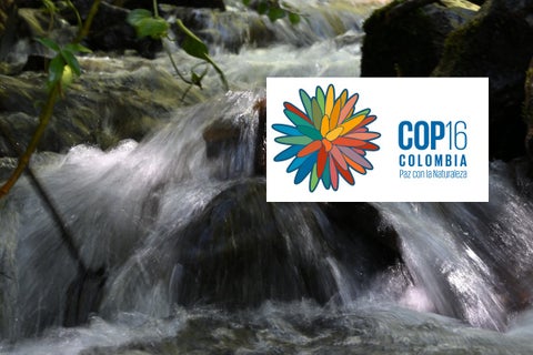 COP16 en Cali