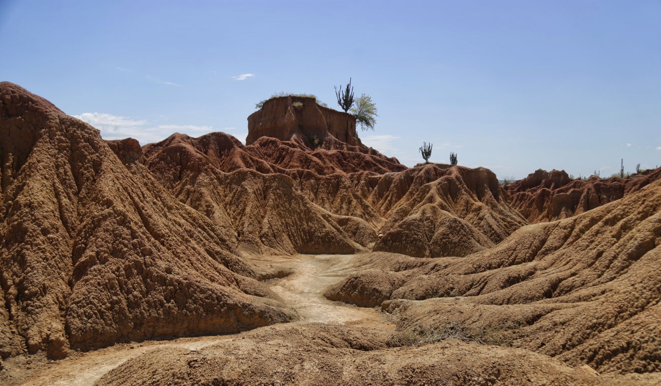 Desierto de La Tatacoa te espera: 3 tours para explorarlo