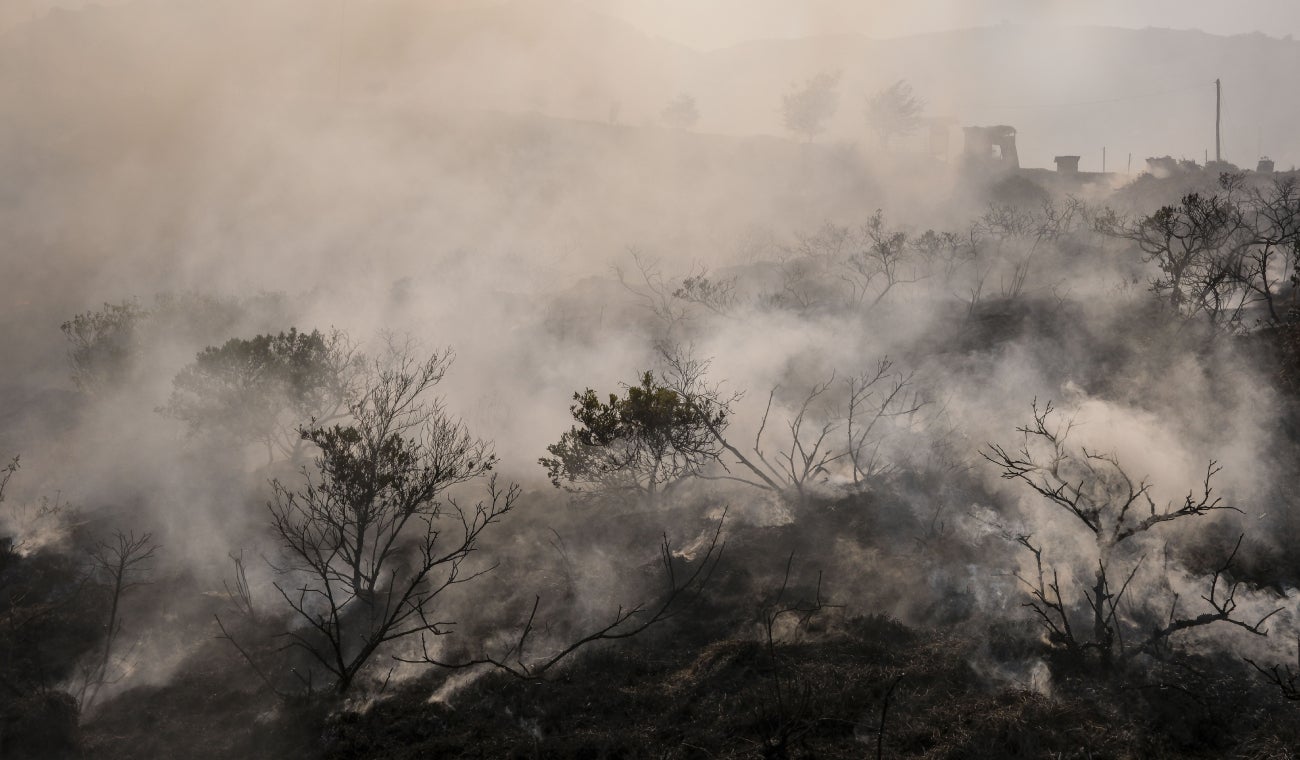 Procuraduría insta a Gobierno a proveer recursos para combatir incendios forestales en Colombia.