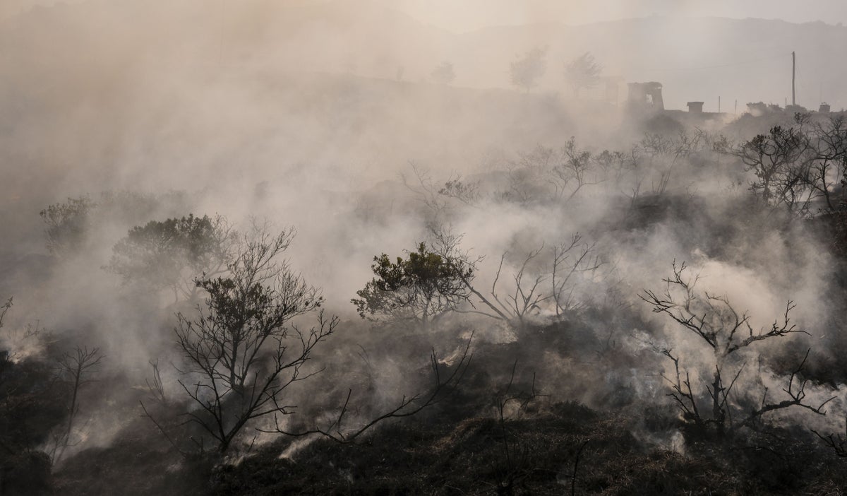 Procuraduría insta a Gobierno a proveer recursos para combatir incendios forestales en Colombia.