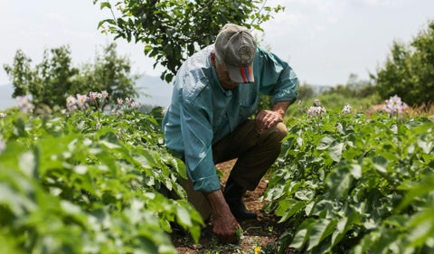Inversión para el campo colombiano