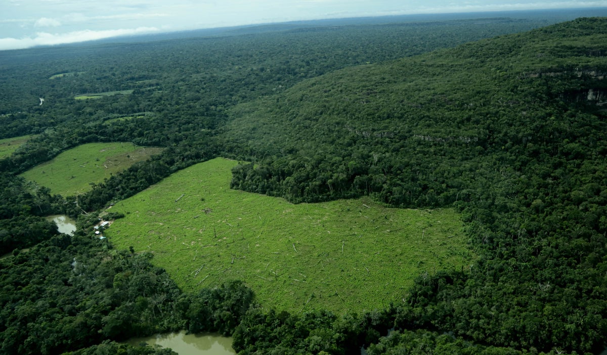 Firma de convenio en COP16 para proteger la Amazonía
