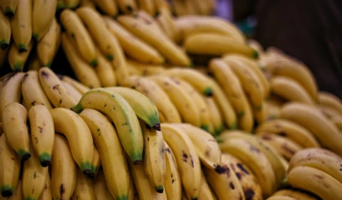 Colombia exporta más de 63,7 millones de cajas de banano en 2024, superando las cifras de 2023