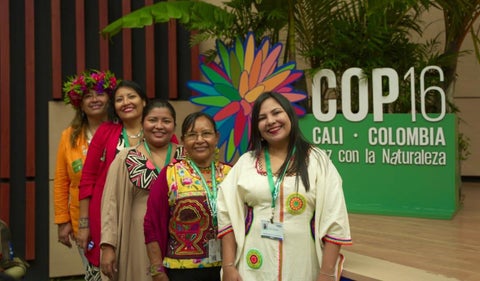 COP16