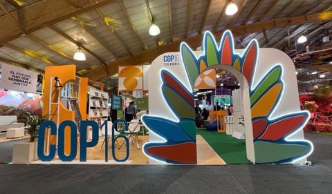 COP16