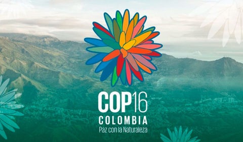 COP16