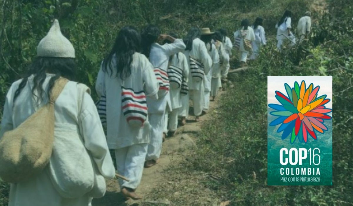 COP16 y pueblos indígenas
