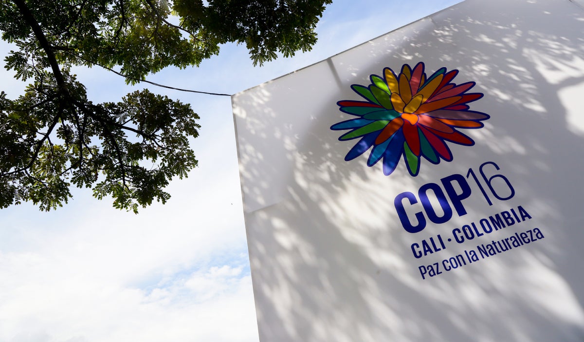 Central de Monitoreo Antidrones detecta más de 800 drones en la COP16, 32 sobre la Zona Verde.