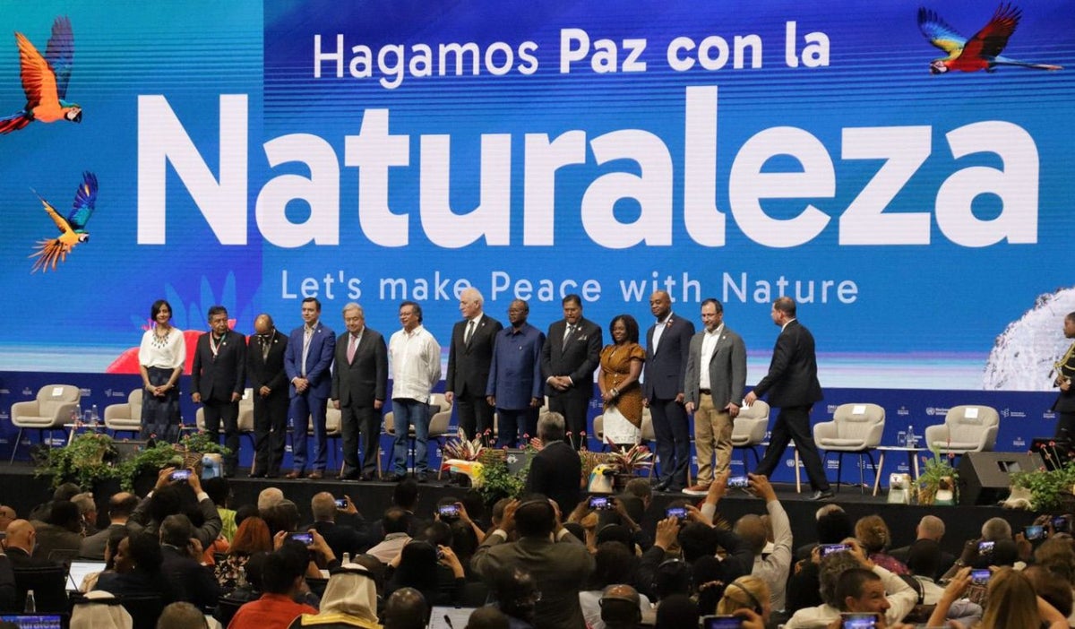 COP16