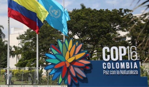 Zona Azul - COP16