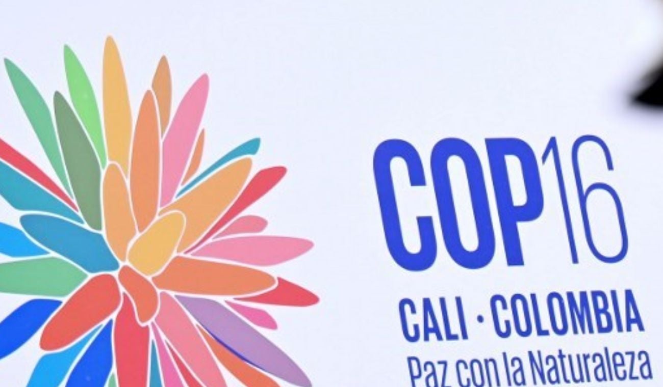 COP16