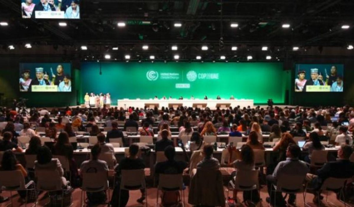 COP16