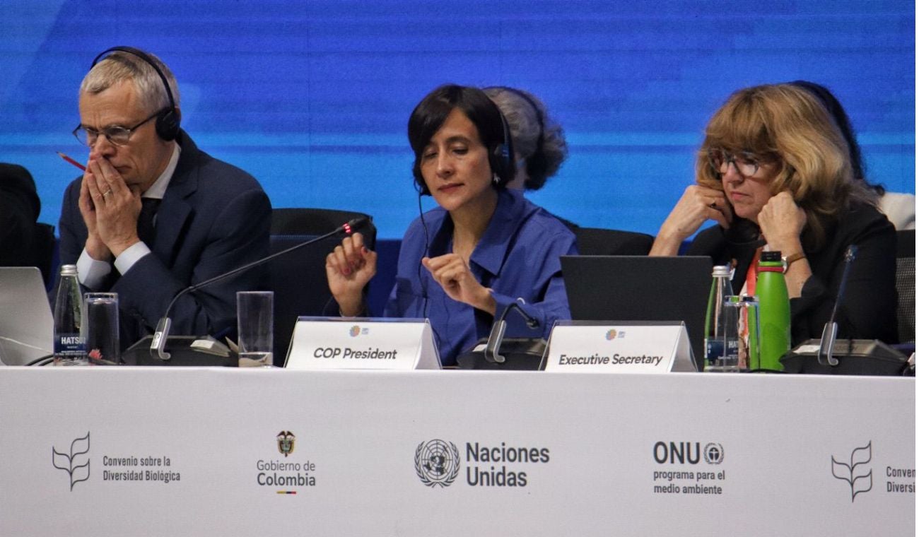 COP16