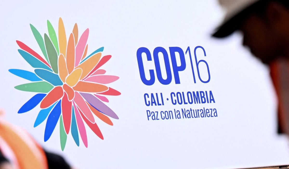 COP16 Cali