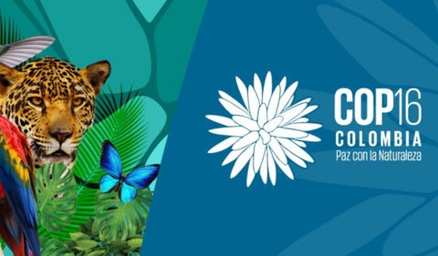 COP16