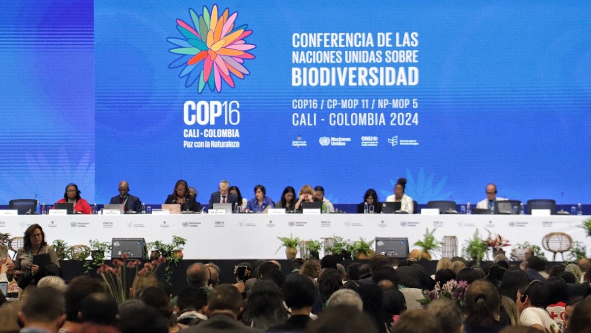 Plenaria COP16 | Cali