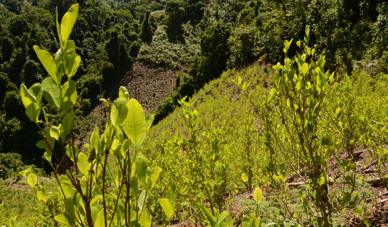 ¿Cuándo fue la última vez que COLOMBIA fue DESCERTIFICADA por EE. UU. en la lucha ANTIDROGAS?