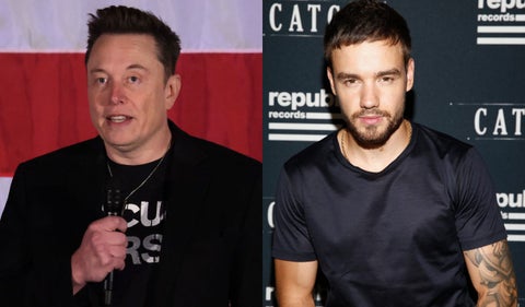 Elon Musk y Liam Payne