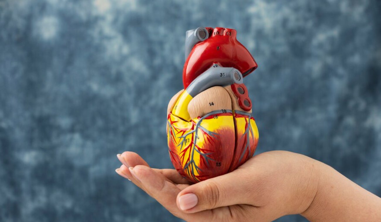 Las cardiopatías pueden ser causadas por factores genéticos y ambientales
