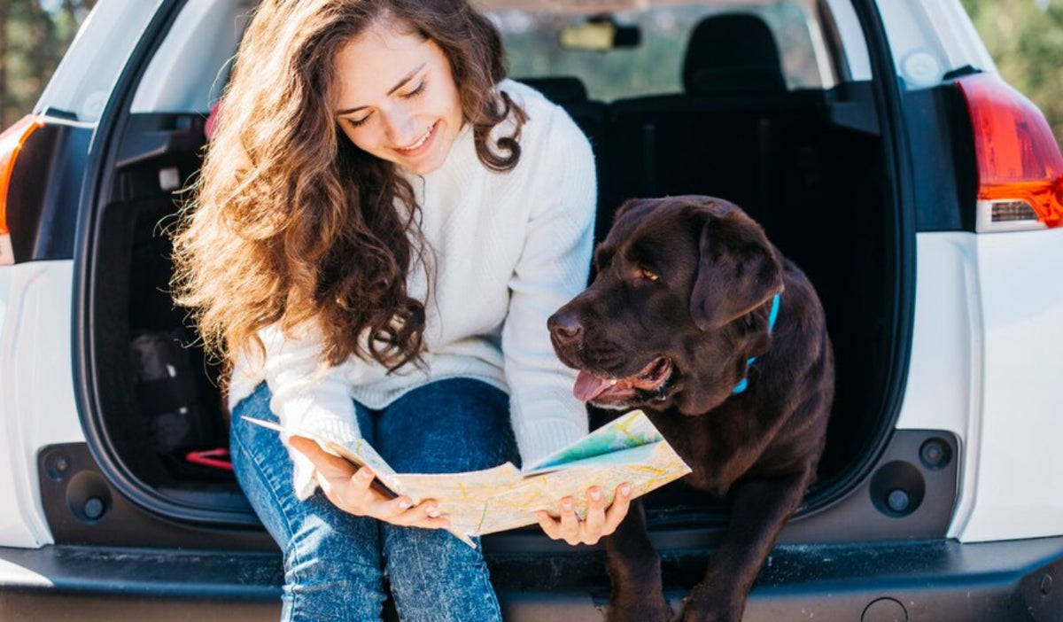 Consejos para viajar con mascotas: preparación y cuidado son clave para asegurar su bienestar en todo momento.
