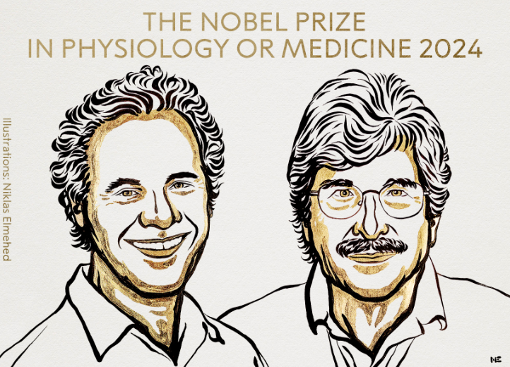 NOBEL MEDICINA 2024
