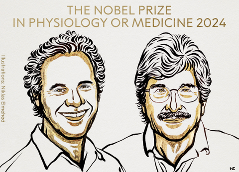 NOBEL MEDICINA 2024