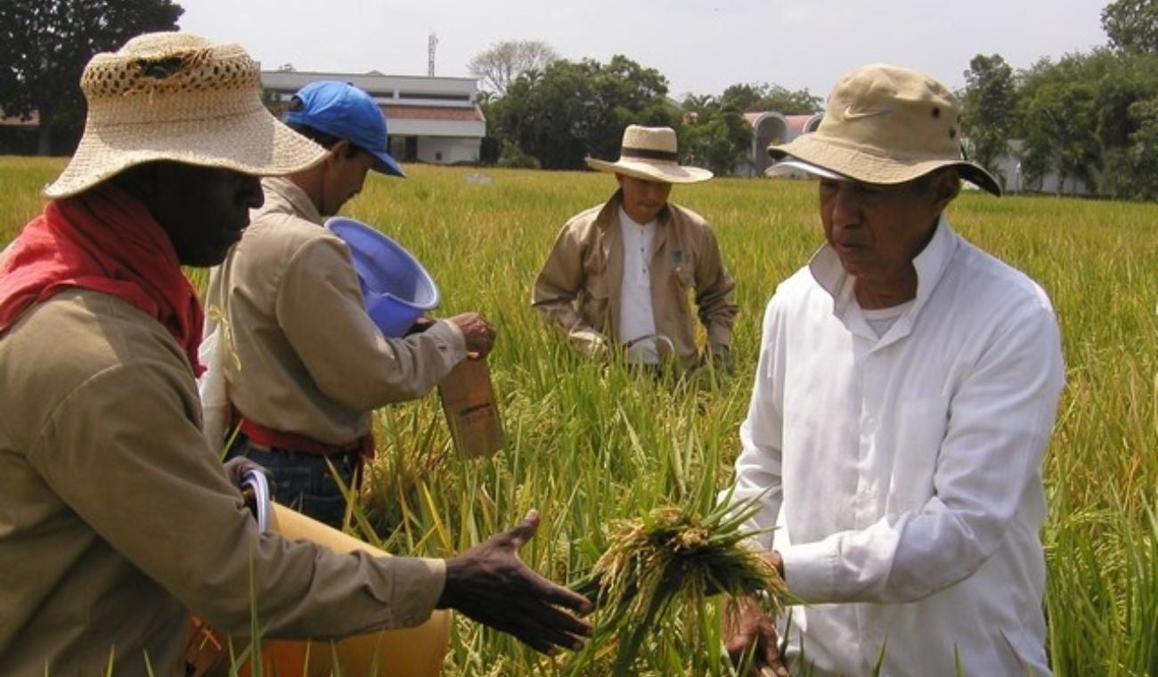 Agro