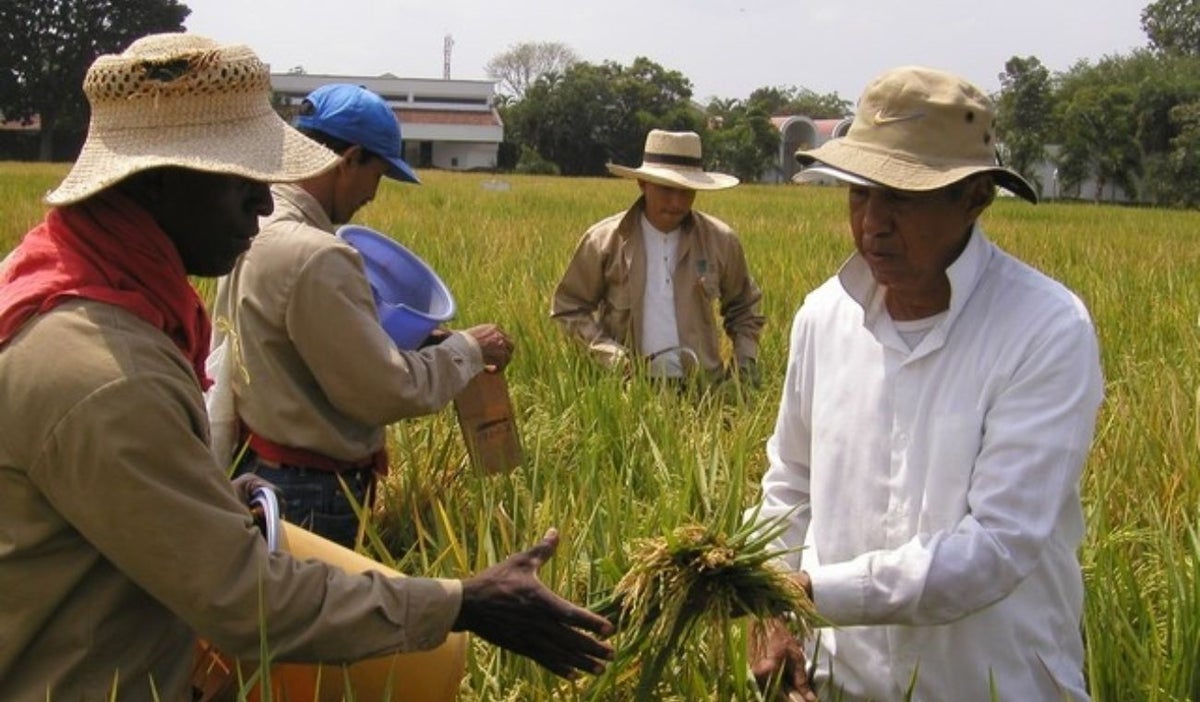 Agro