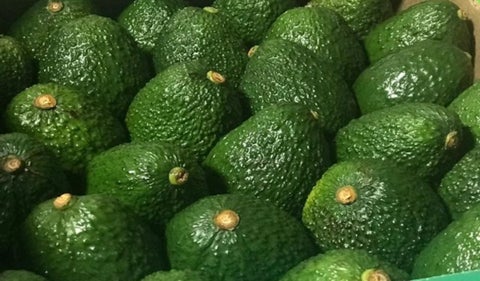 Aguacate Hass