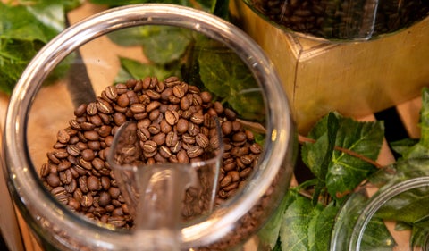 El precio del café alcanza valor récord en la Bolsa de Nueva York, beneficiando a familias cafeteras en Colombia