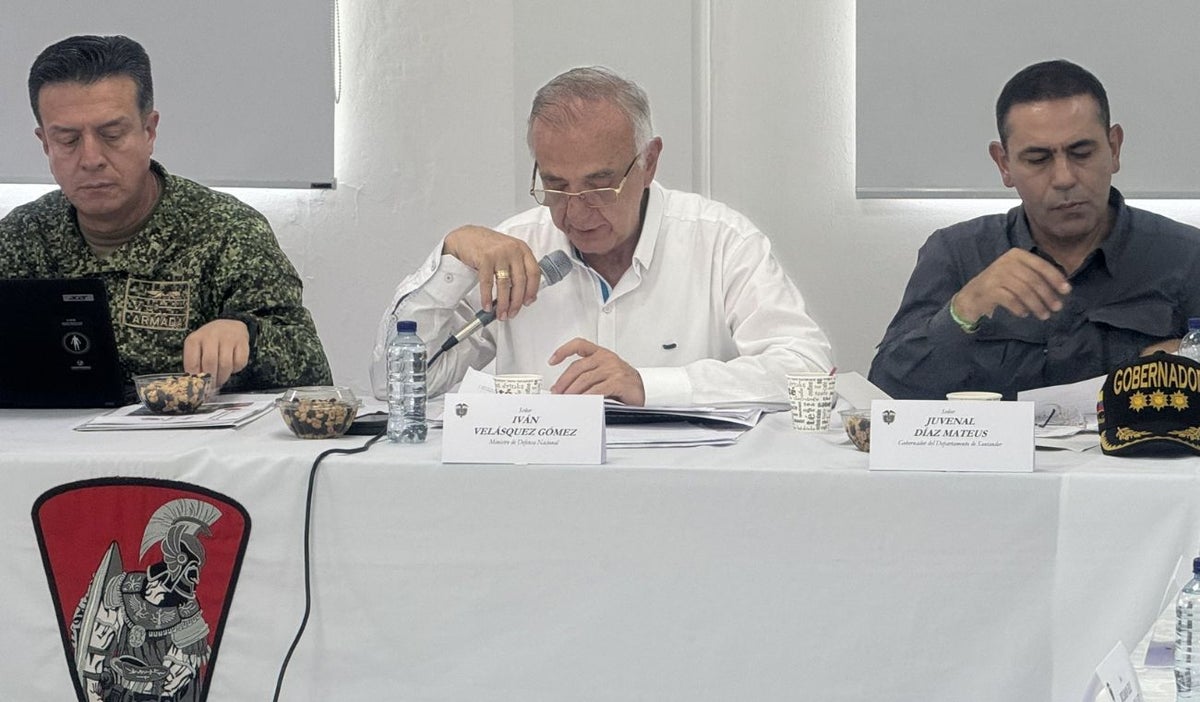 Consejo de Seguridad liderado por MinDefensa
