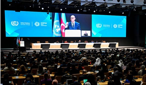 COP29