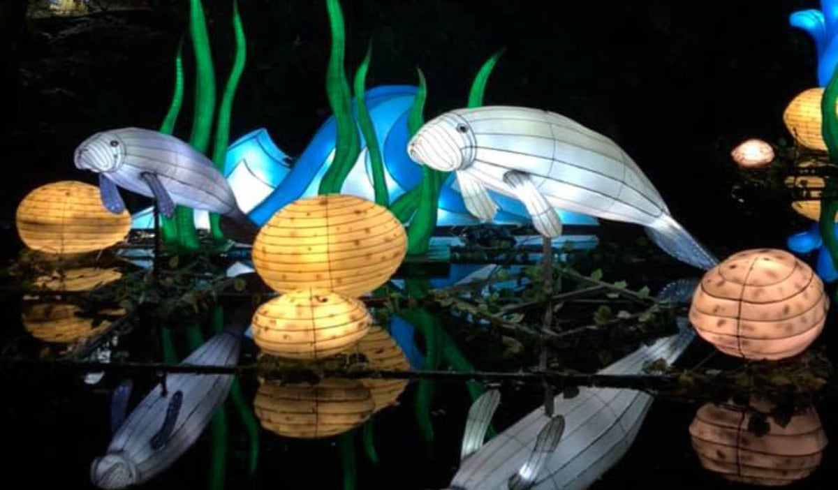 El Festival Brilla llega a Bogotá con la temática 4 Elementos, un espectáculo de luces único
